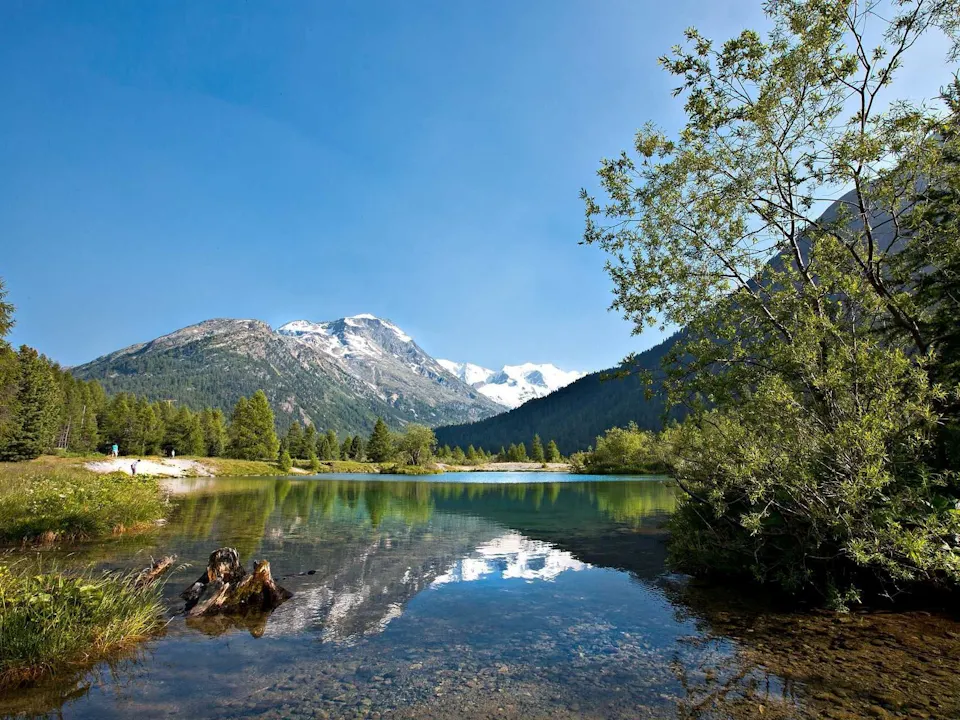 Camping Morteratsch
