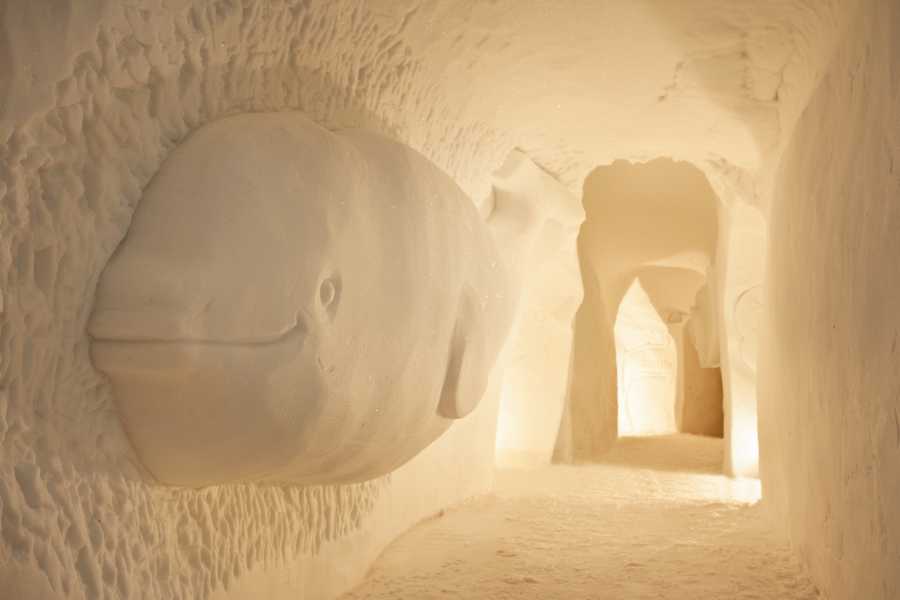 Vuelos en parapente en un iglú, experiencia invernal con impresionantes vistas a las montañas.