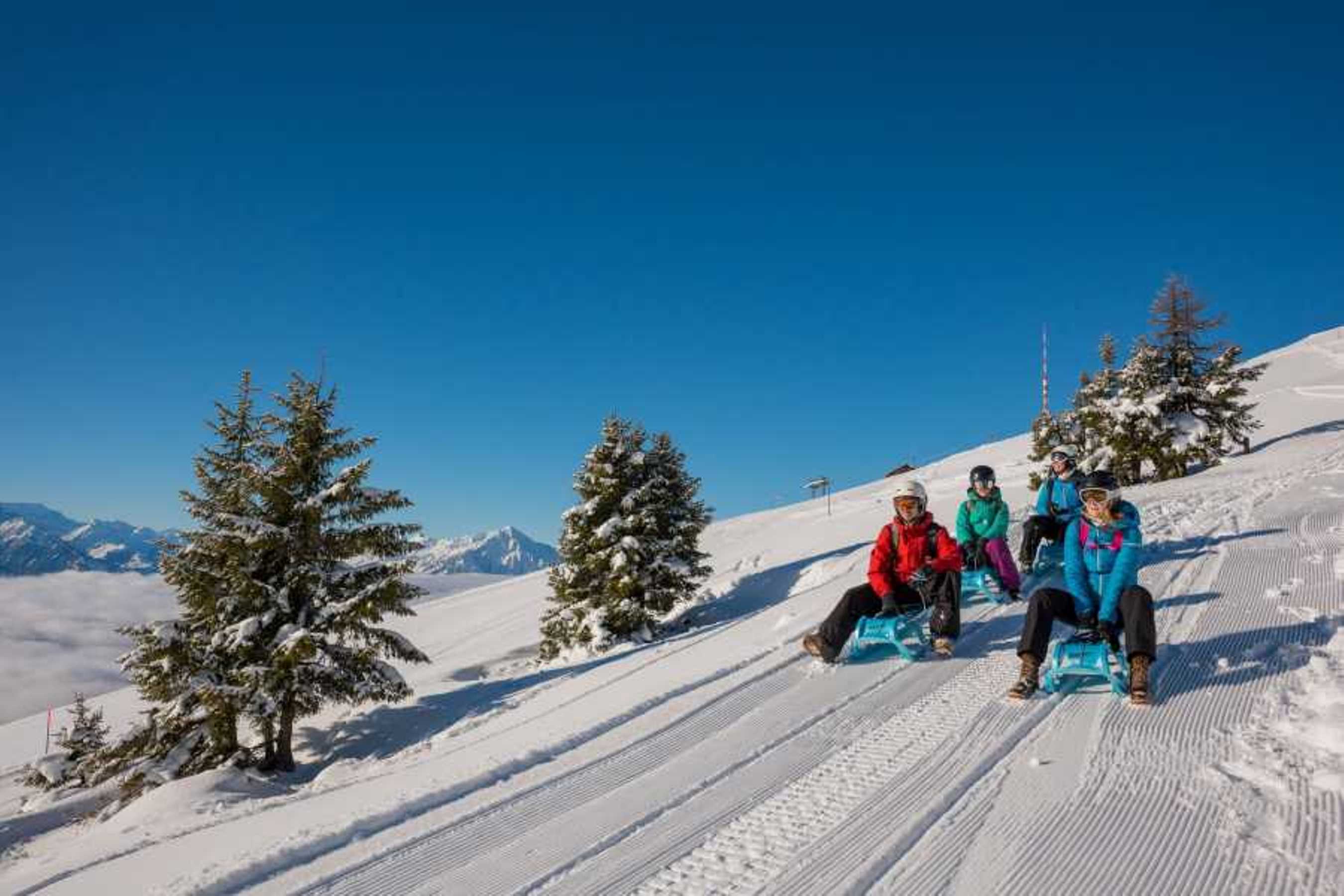 冬のニーダーホルンでのソリ滑り、晴れた視界、雪に覆われた風景