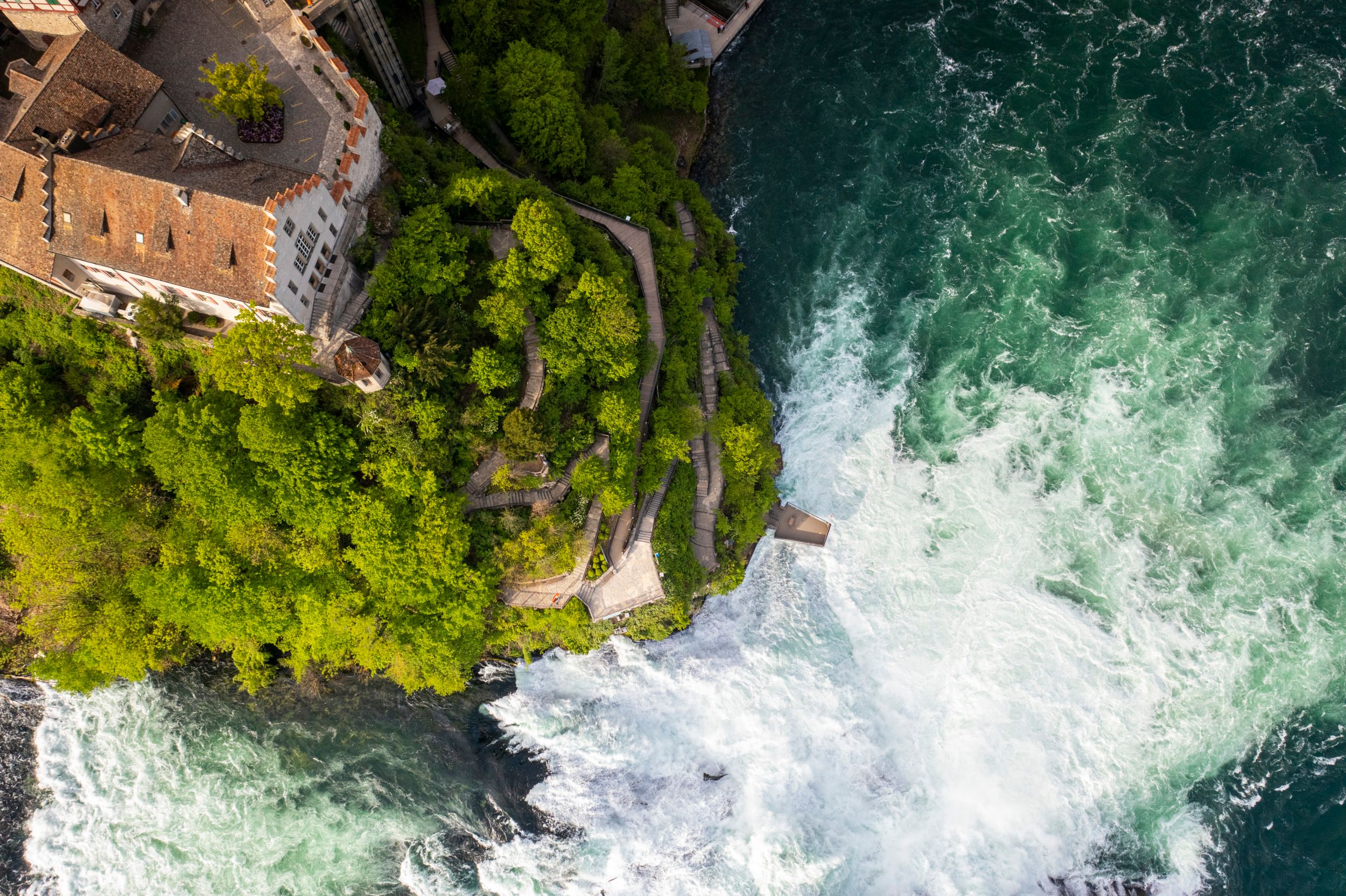 Rheinfall : impressionnante cascade en Suisse, entourée de forêts denses et de nature intacte.