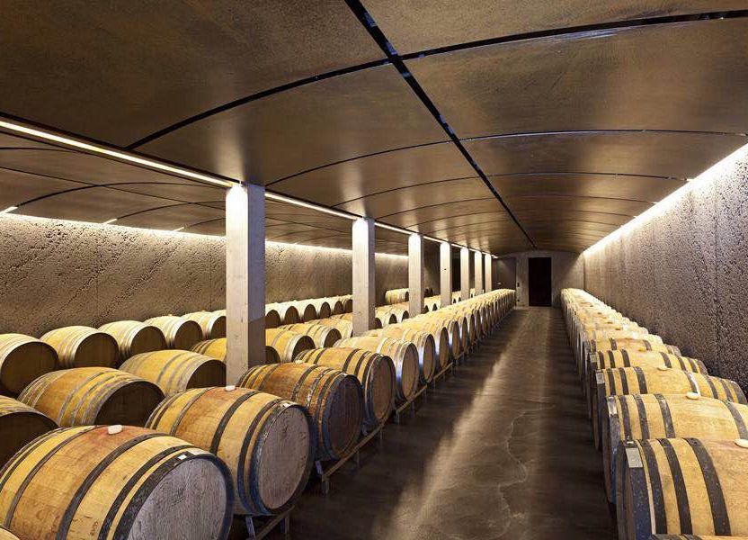 Weinkeller mit Fässern für eine weintour in Deutschland, ideal für Gruppen und Abenteuer in Sommer.