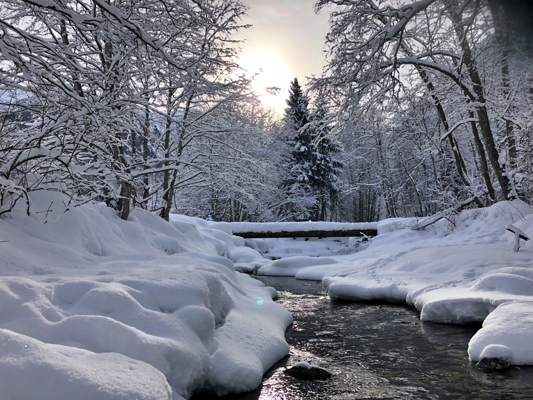 Musim sejuk di Switzerland dengan pokok bersalji dan sungai yang jernih
