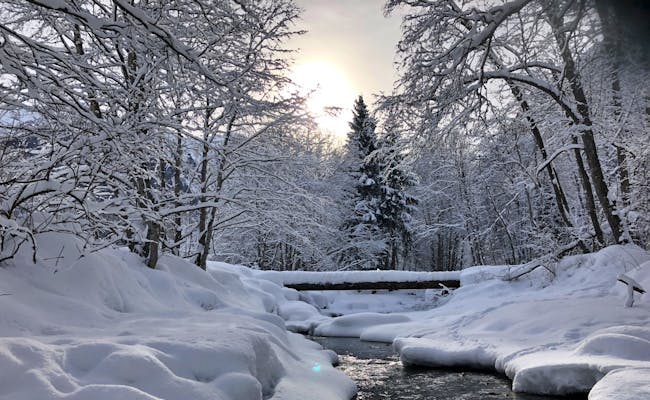 Inverno in Svizzera (Foto: Seraina Zellweger)
