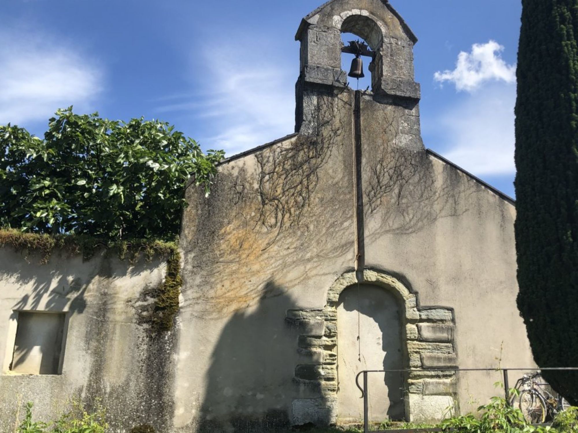 E-Bike Tour: Ontdek wijngebieden en geniet van de natuur tijdens je fietstocht.