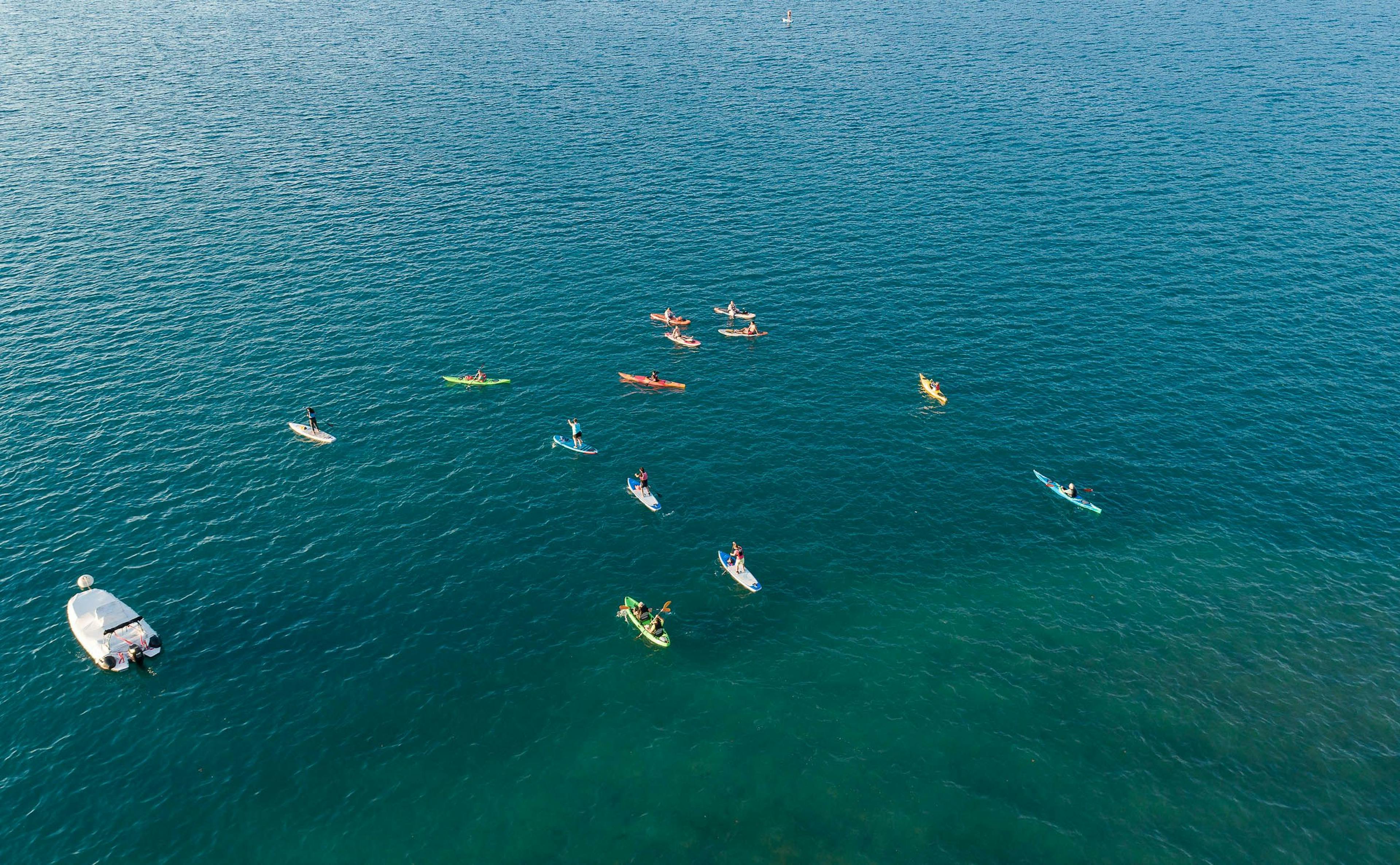 Kajak mieten: mehrere Kajaks auf dem Thunersee für unvergessliche Erlebnisse im Sommer.
