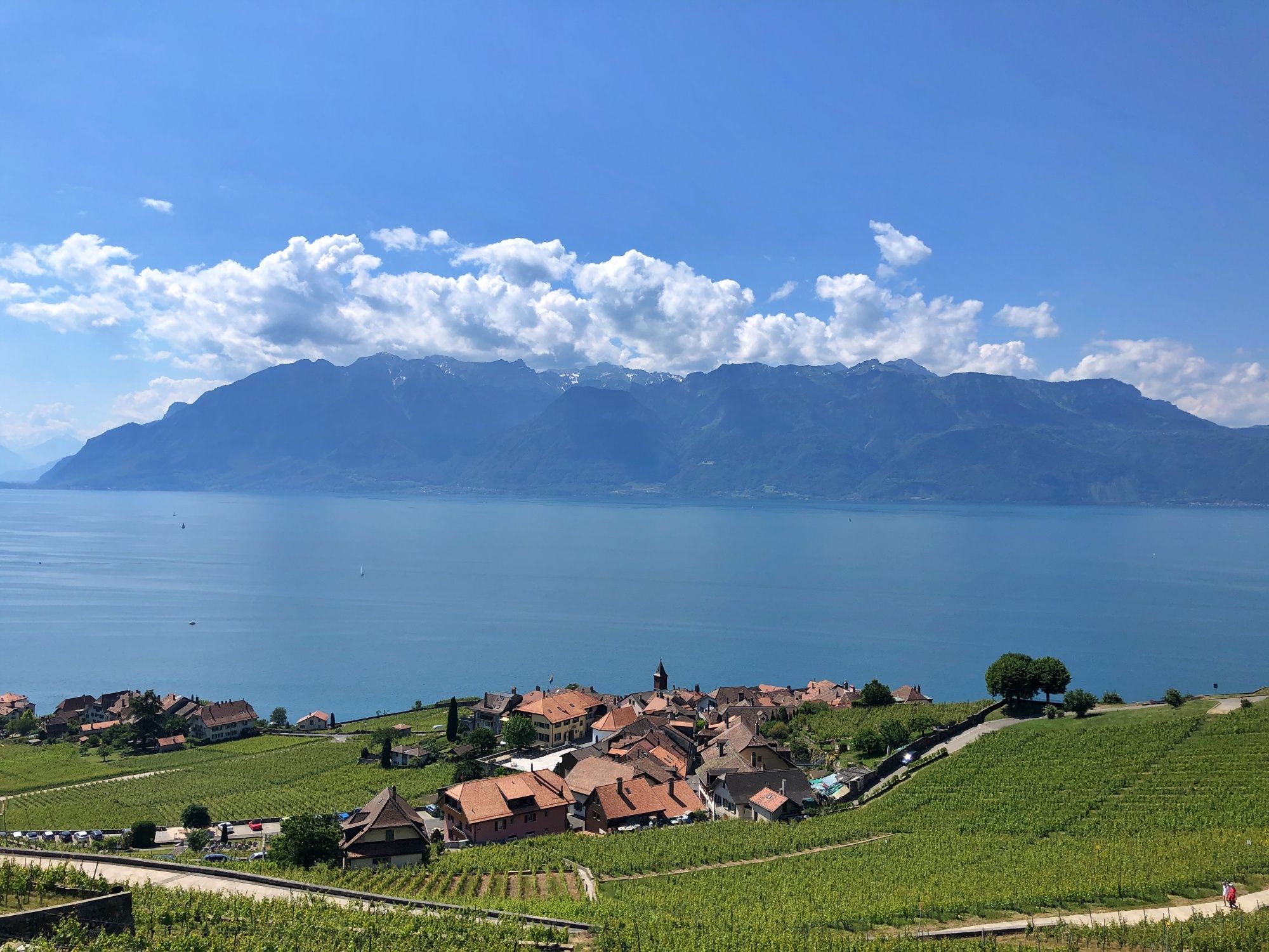 Lac Léman : paysage viticole pittoresque avec vue sur les montagnes et le lac lors de l'excursion d'une journée.
