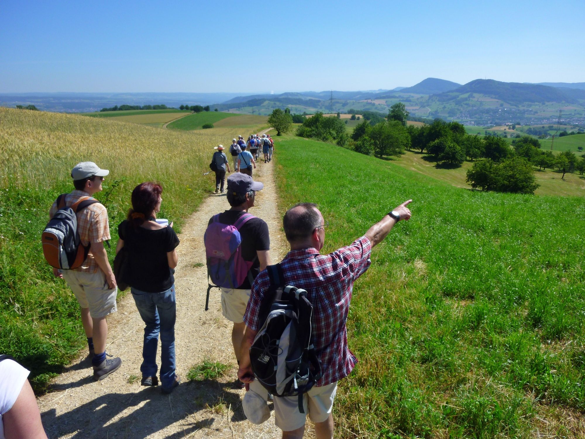 Letní túra: Objevte idylickou přírodu v Wittnau-Frick s skupinovou výpravou.