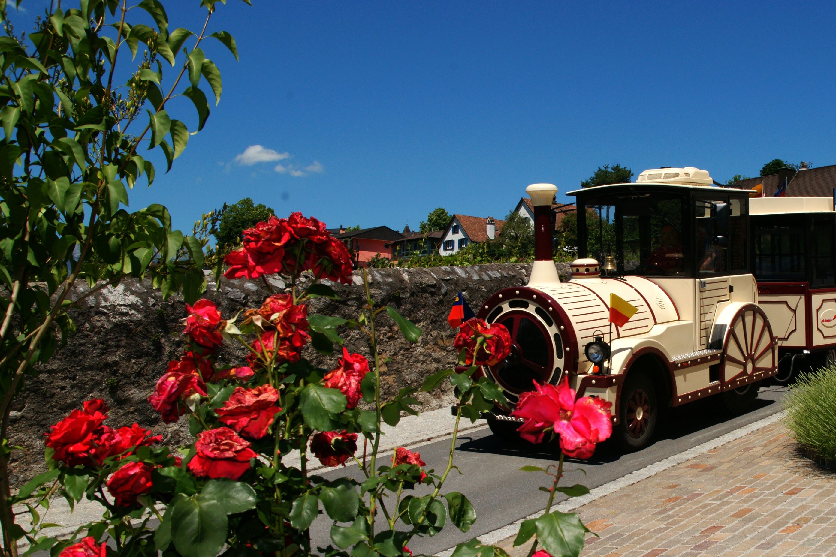 Citytrain: Fahrt durch Vaduz mit Rosen und blauen Himmel, ideal für einen Stadtrundgang.