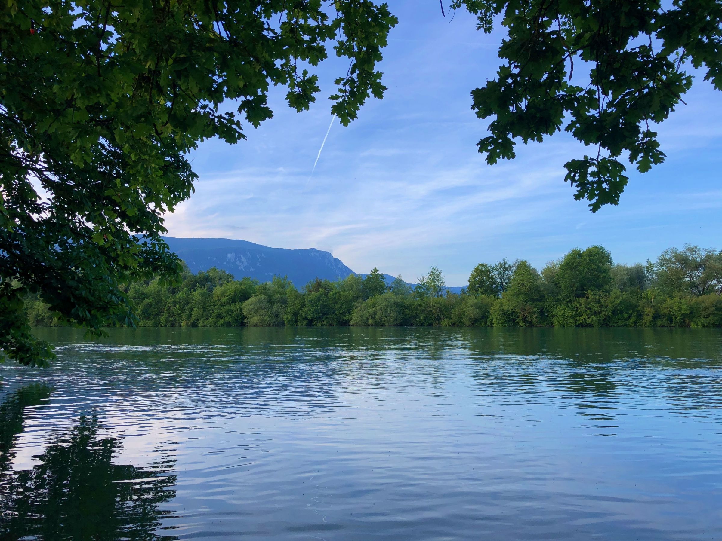 Aare: Paesaggio fluviale tranquillo con montagne sullo sfondo e natura rigogliosa per gite rilassanti.
