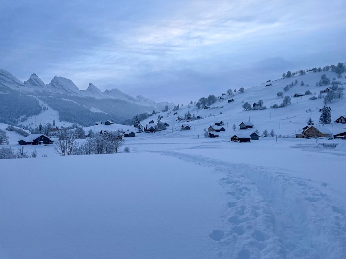 การเดินป่าด้วยรองเท้าหิมะในท็อกเกนบูร์กกับรอยเท้าในหิมะในภูมิประเทศฤดูหนาว.