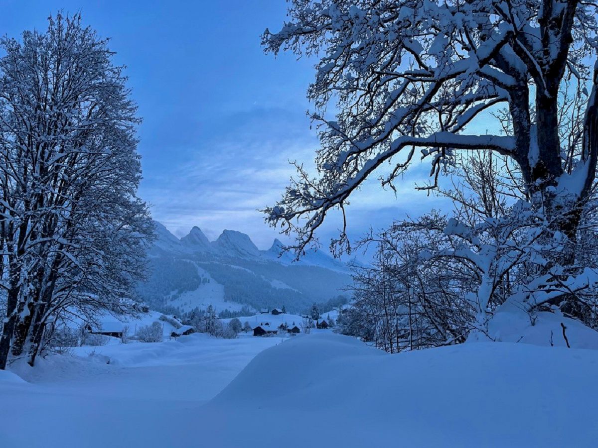 เดินป Schneeschuhwanderung ใน Toggenburg: ทิวทัศน์ฤดูหนาวพร้อมภูเขาและต้นไม้ที่มีหิมะปกคลุม