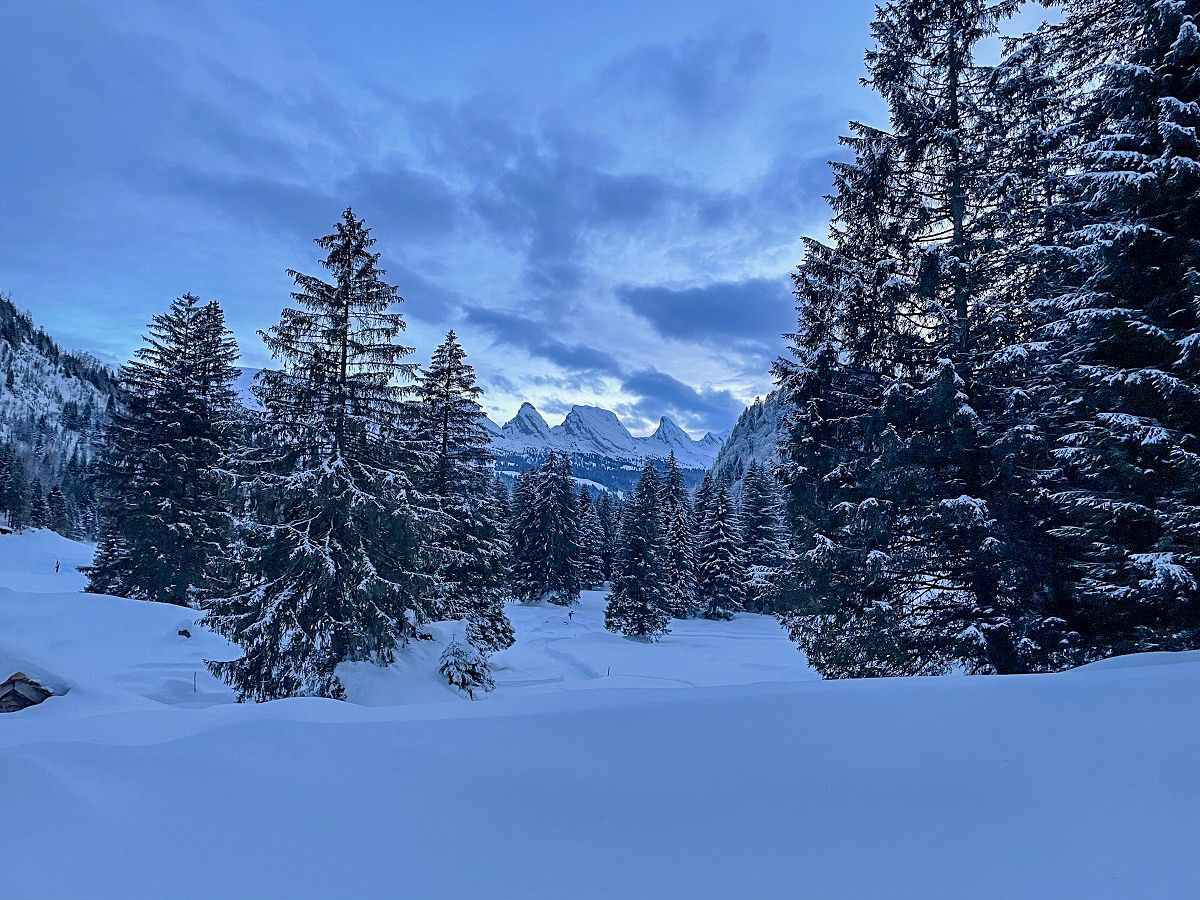 การเดินปิกนิกโดยใช้รองเท้าหิมะในท็อกเกนบูร์ก ป่า ทิวทัศน์ที่มีหิมะปกคลุมพร้อมภูเขาและต้นสนในฤดูหนาว.