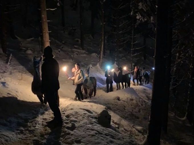 Trekking alpaca malam dengan obor di salji