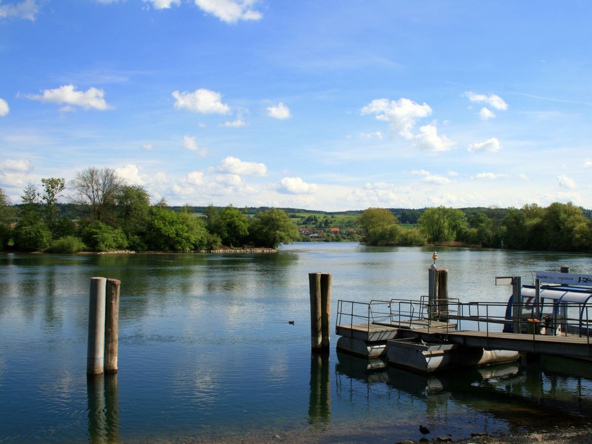 Altreu: lago tranquillo con vegetazione costiera verde, ideale per esperienze nella natura e relax.
