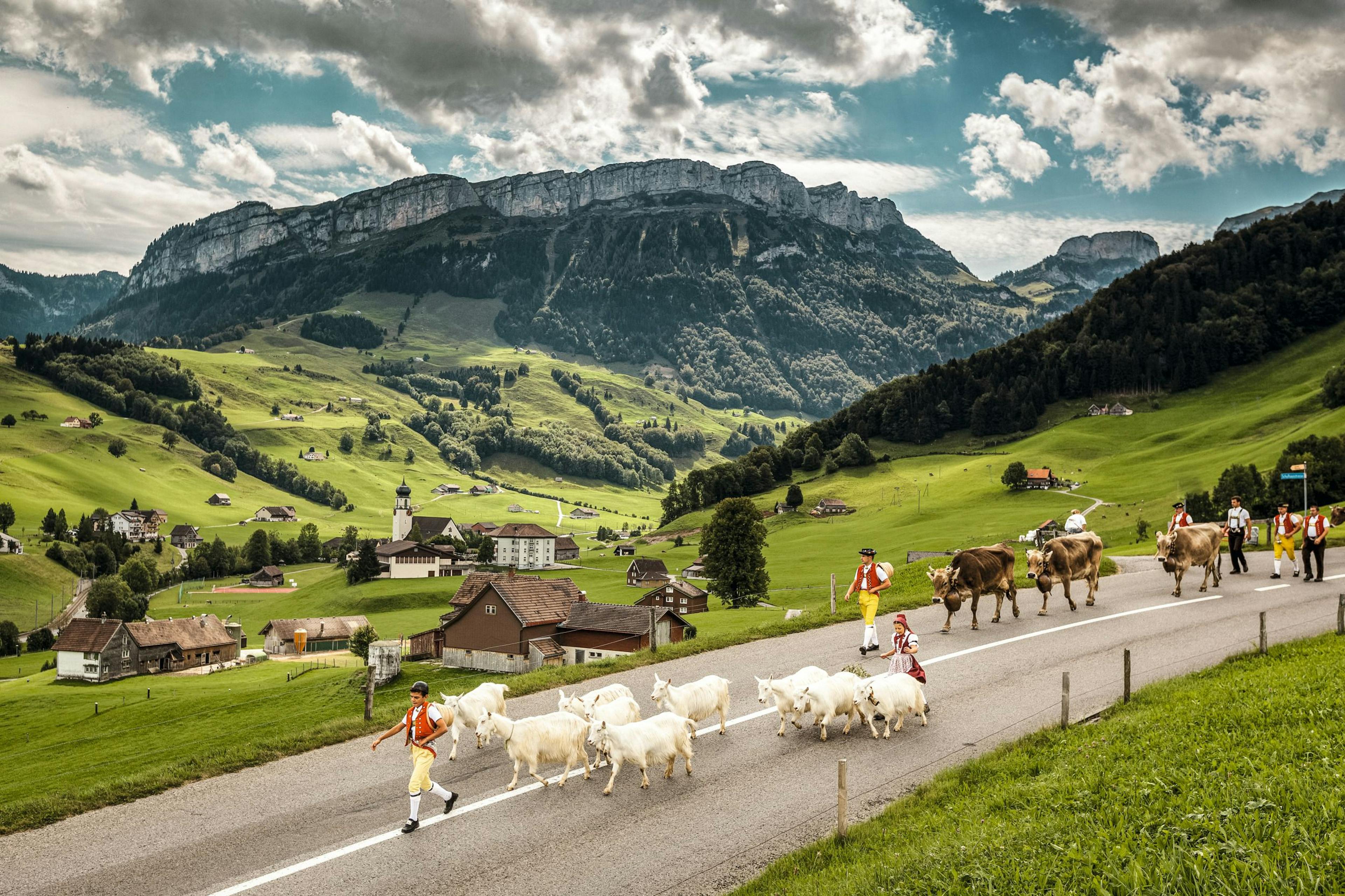 Appenzell Schwende Alpabzug: Schweiz Tourismus, Jan Gee