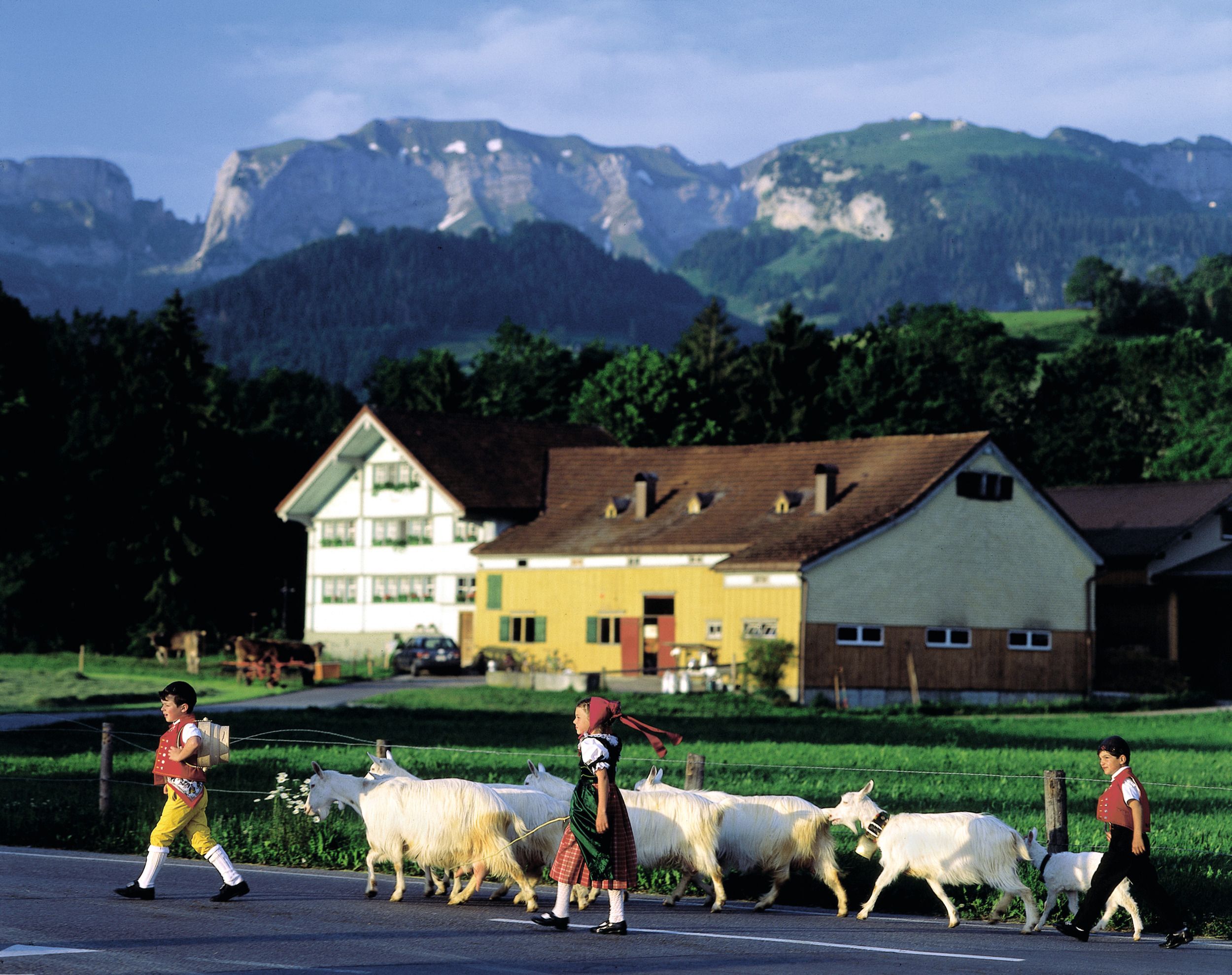 Appenzell: Barn leker med killingar framför en idyllisk alplandskap, perfekt familjeäventyr i naturen.