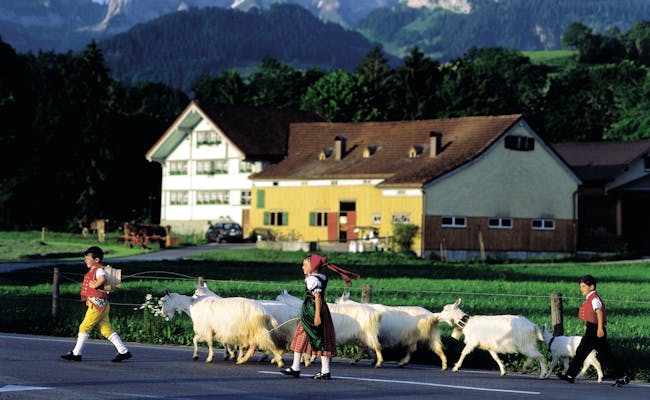 Appenzell Kinder und Ziegen (Foto: Schweiz Tourismus, Christof Sonderegger)