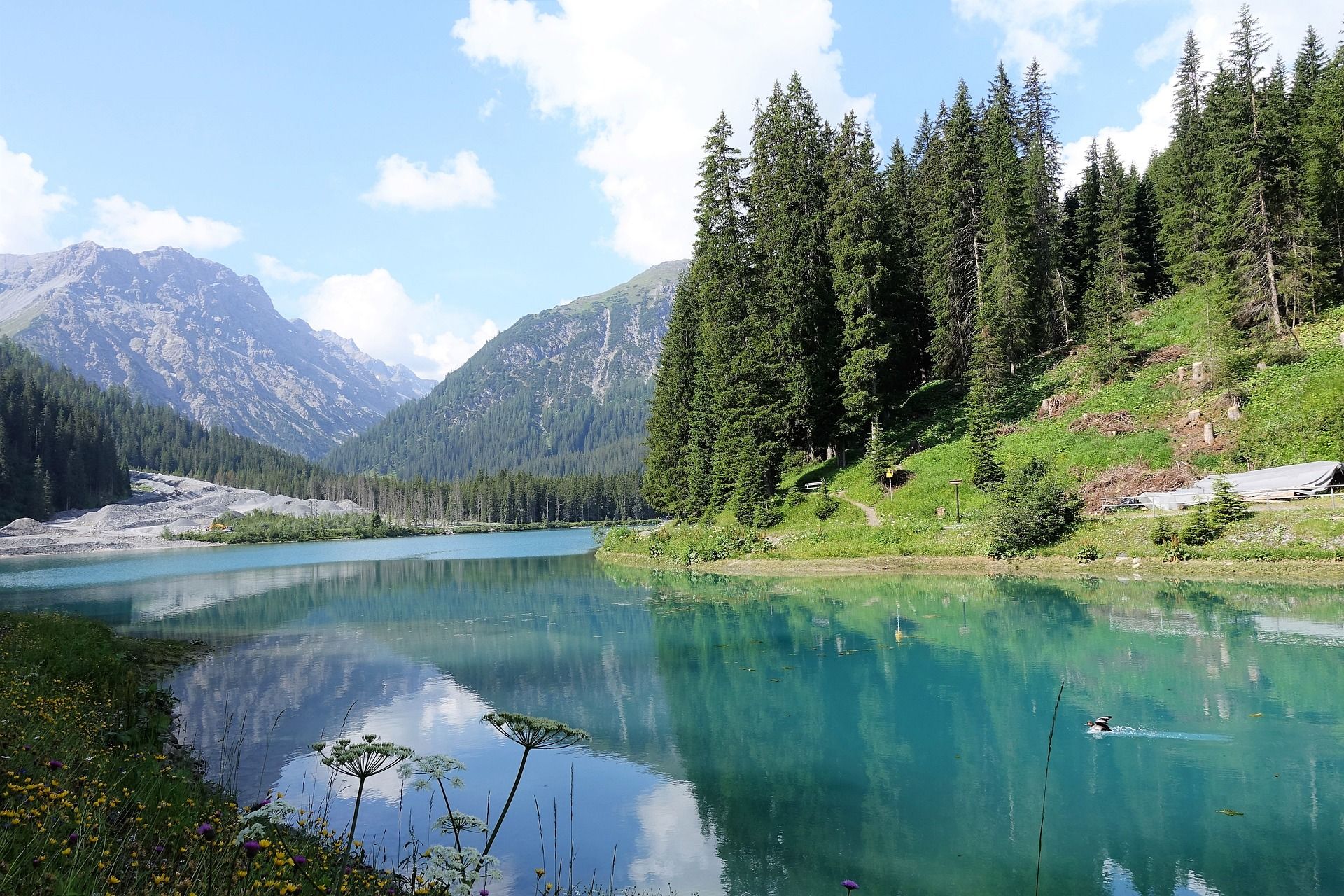 Arosa: lago idílico com água clara, rodeado de montanhas e florestas na natureza.