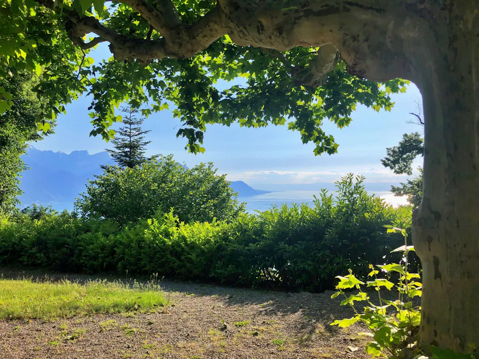 Montreux am Funi