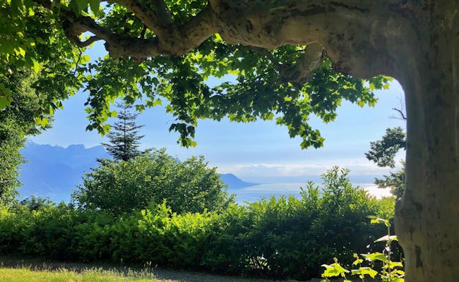 Výhled na Ženevské jezero z Montreux na Funi, obklopeno stromy a zelení