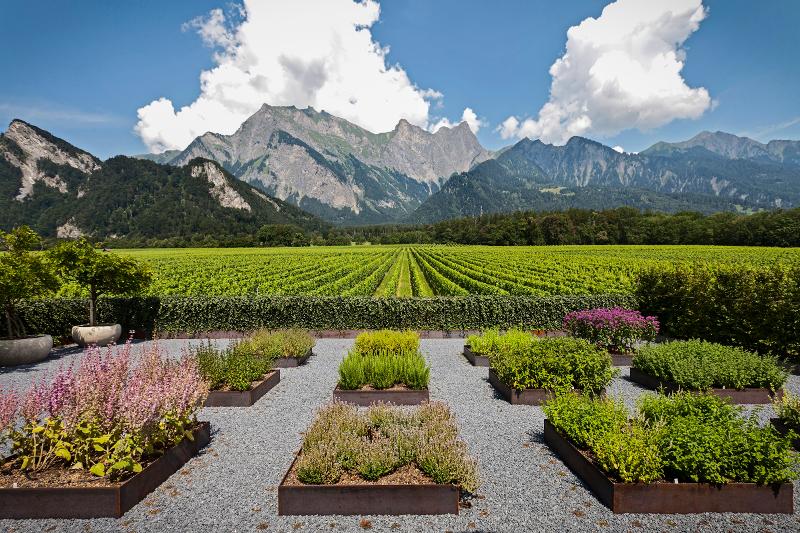 Aussicht vom Weingut Davaz über Weinberge mit Bergen in der Ferne und bunten Blumenbeeten.