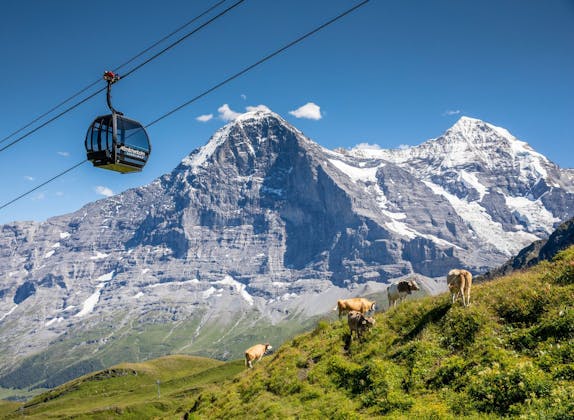 Männlichenbahn: impresionante paisaje montañoso con vacas y teleférico en los Alpes suizos.