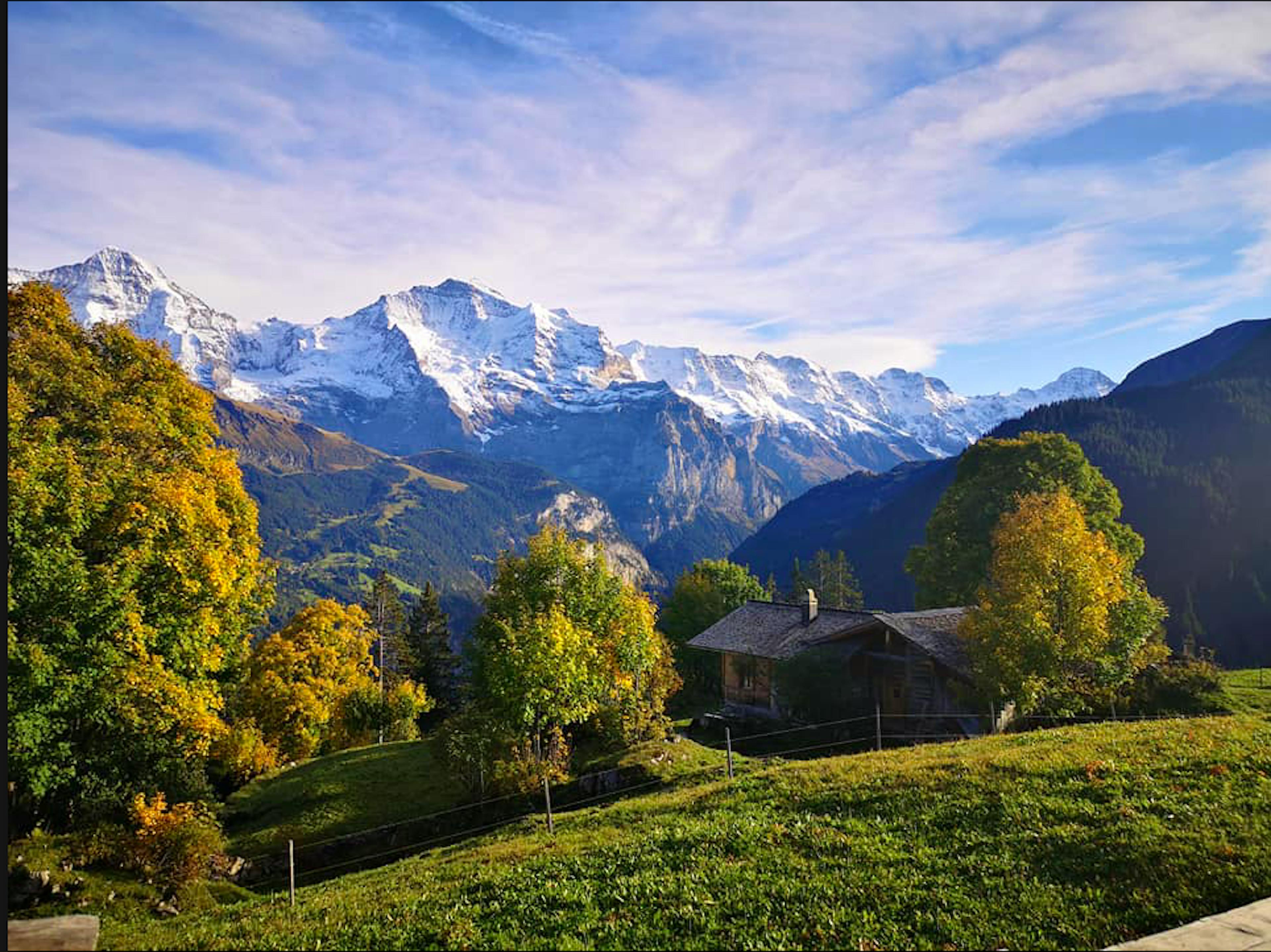 Lanskap pegunungan Bernese Oberland dengan puncak bersalju dan pohon berwarna-warni di latar depan.