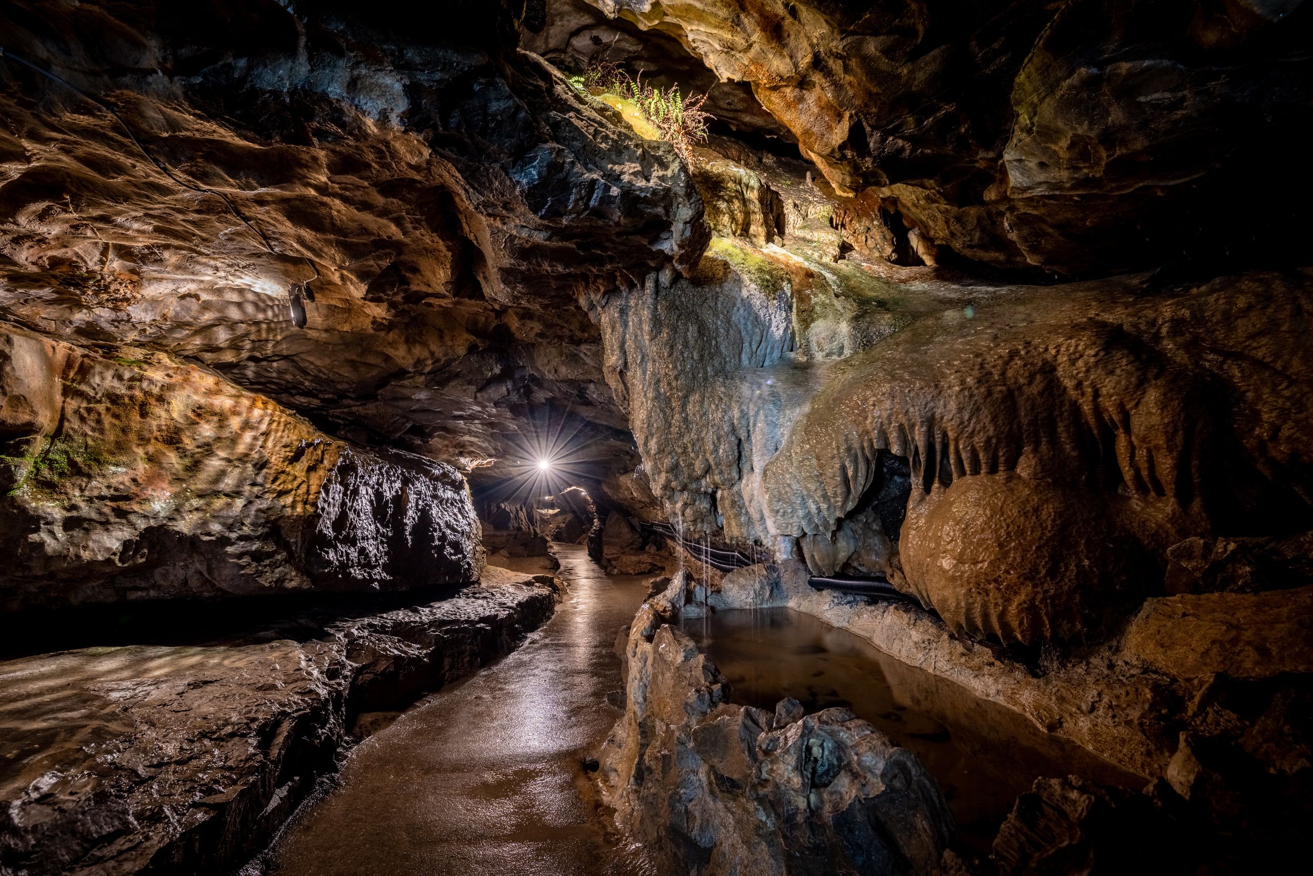 Beatushöhlen: faszinierende Tropfsteine und malerische Wege in der Natur der Schweiz.