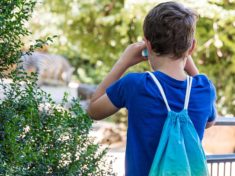 Ζωολογικός Κήπος της Βασιλείας: Παιδί παρατηρεί ζώα και βιώνει συναρπαστικές στιγμές στο ζωολογικό κήπο με φίλους.