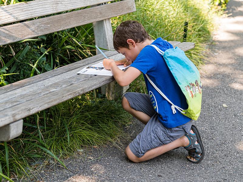 Ζωολογικός κήπος Βασιλείας: Νέος λύση μυστηρίου σε τράπεζα, περικυκλωμένος από φύση και διασκέδαση στον ζωολογικό κήπο - εμπειρίες για παιδιά.