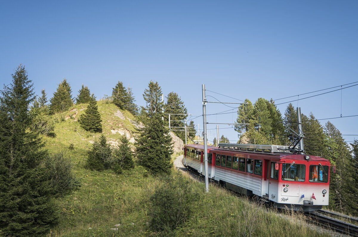 Tour Sehari Rigi dari Zürich dengan kereta melalui padang rumput hijau.