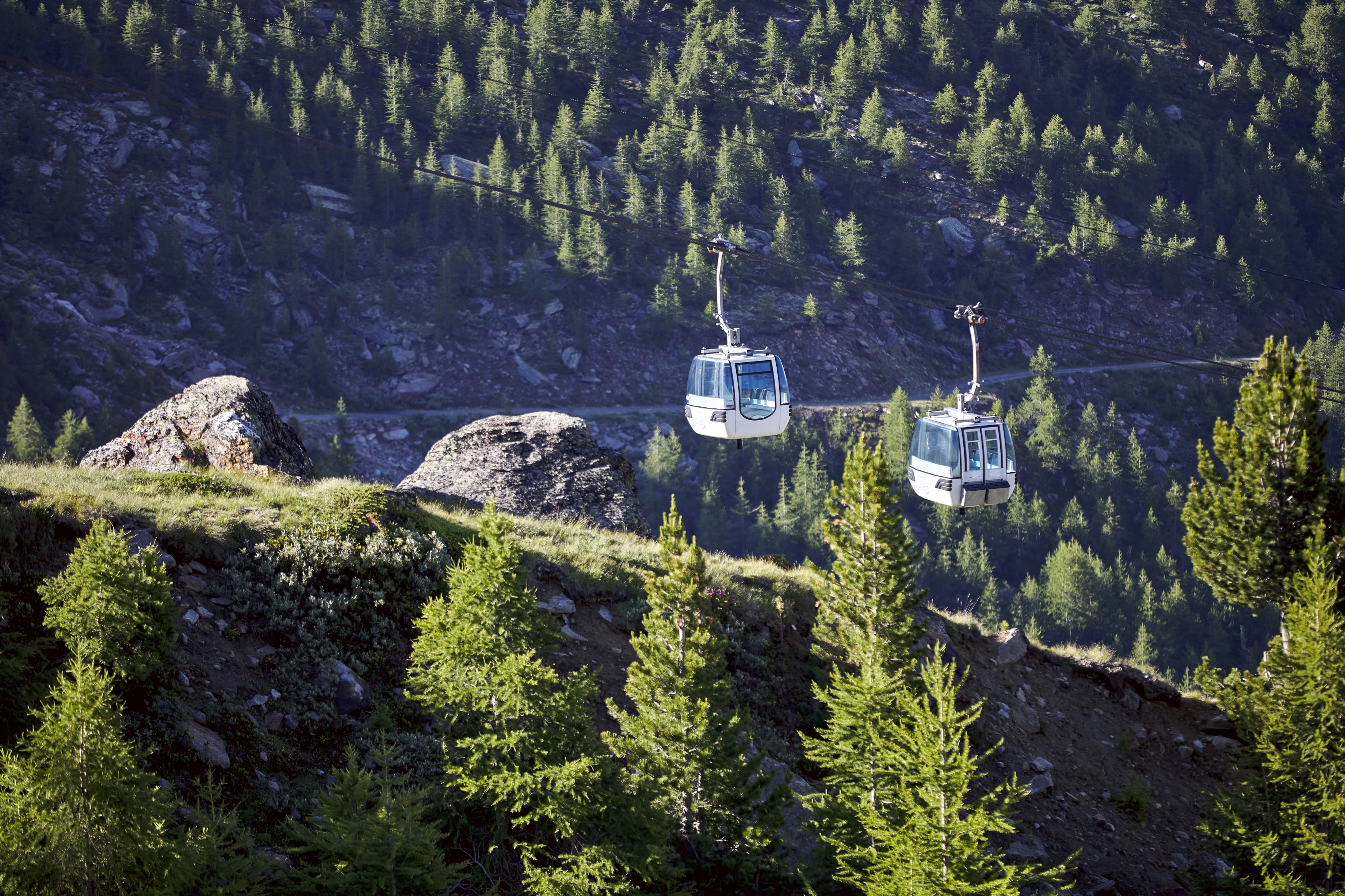 Гірськолижні підйомники Хо-saас з кабінковими канатними шляхами через лугові та деревні зони