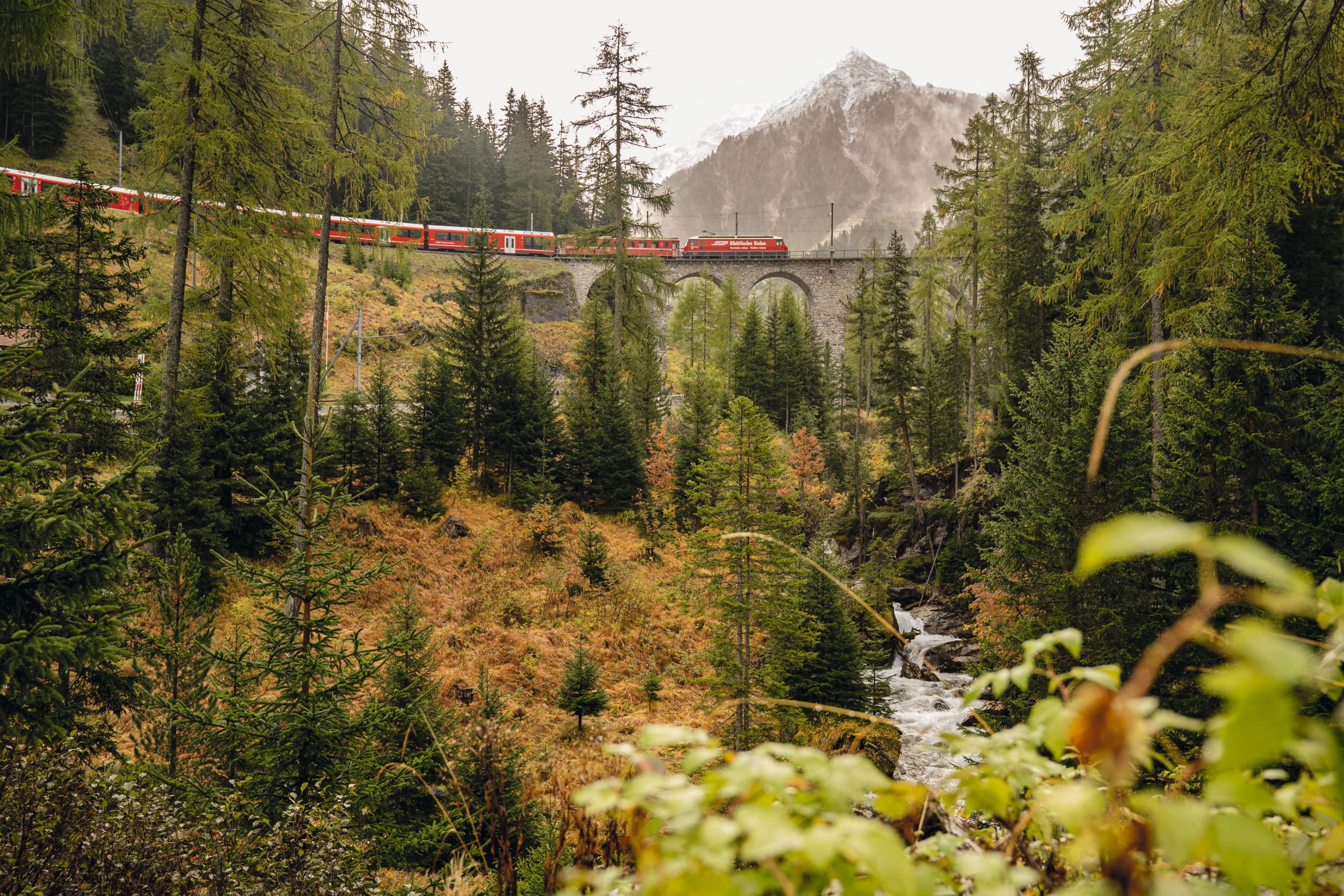 Berguen-RhB : Voyage pittoresque en train à travers de beaux paysages avec des forêts et des montagnes en automne.
