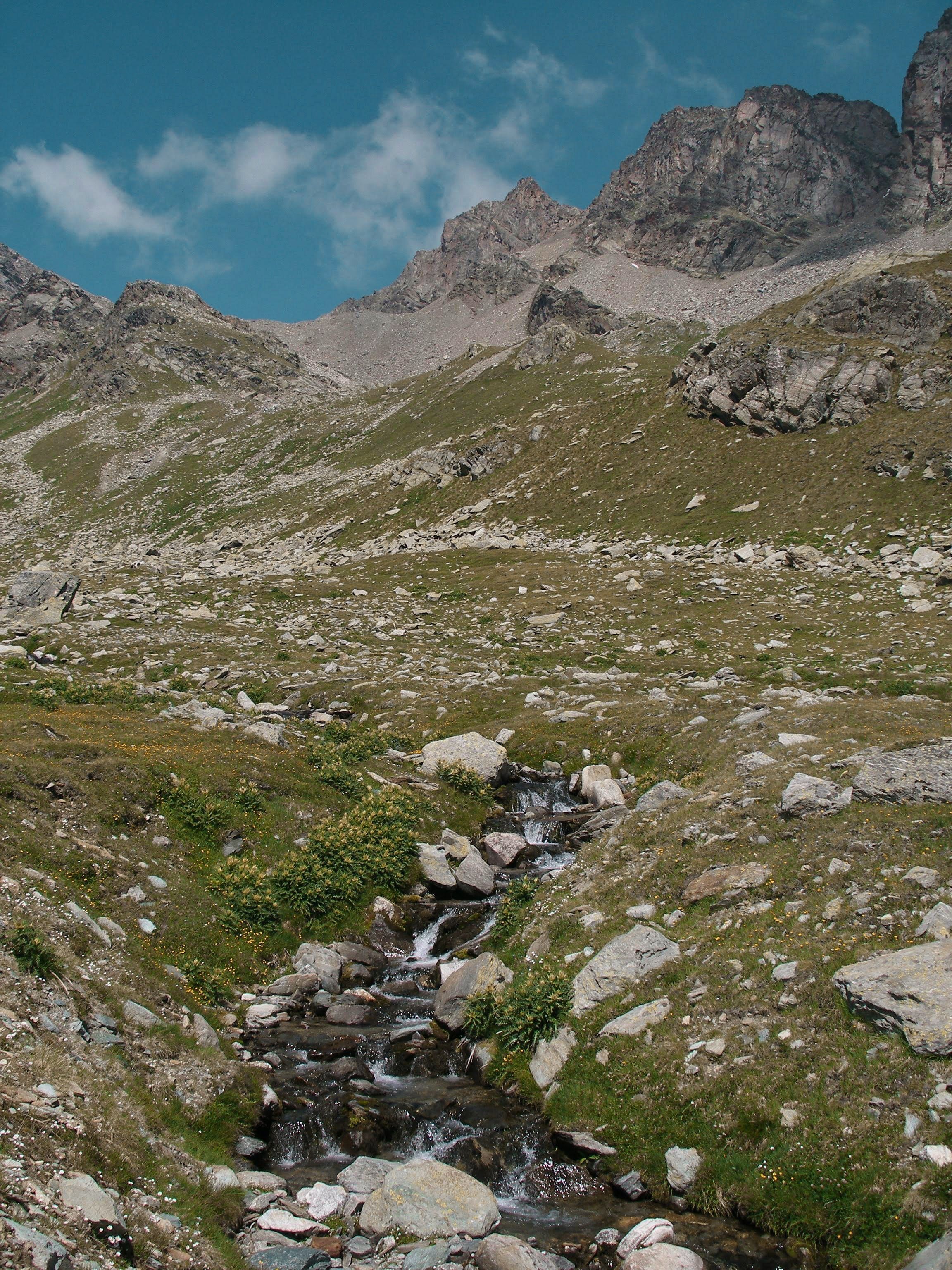 Bernina Pontresina: idyllisk bergslandskap med rinnande vattendrag och gröna ängar på sommaren.