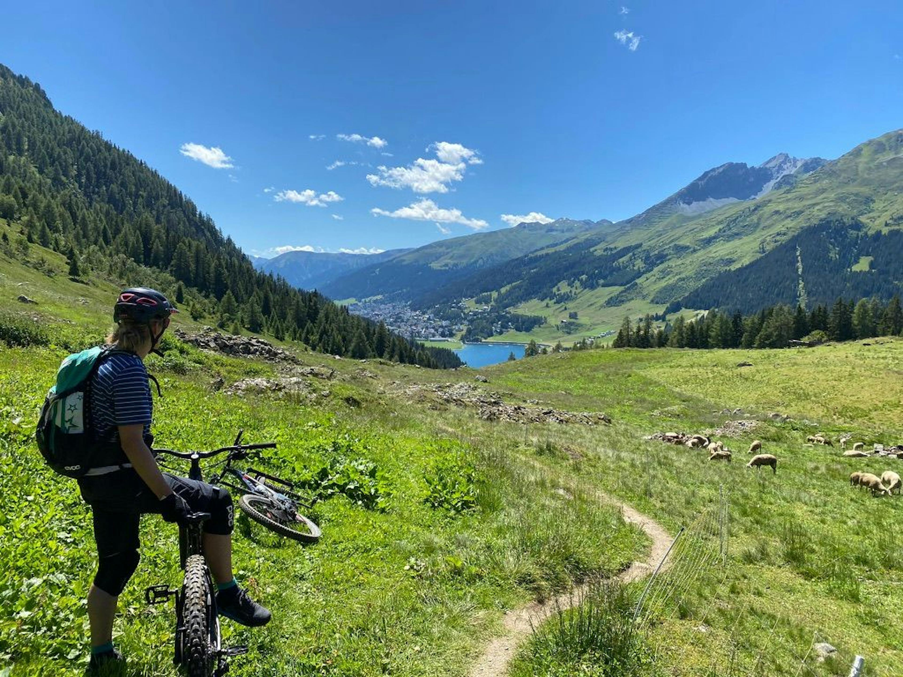 Biking in Davos with a view of the lake, green meadows, and mountains