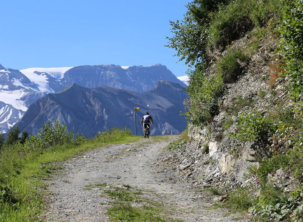 Biken Tschentenalp: Mountain bikers on a gravel path, alpine landscape, forested surroundings.