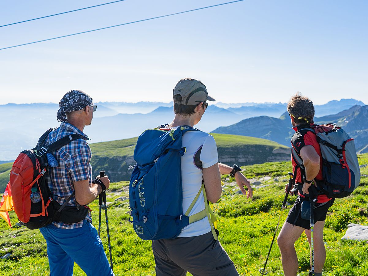 추르피르스텐: 자연에서 친구들과 함께하는 즐거운 하이킹, 토그겐부르크의 여름 정상.