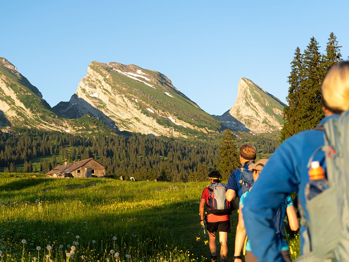 추어피르 스텐: 여름에 토크겐부르크의 그림 같은 산 풍경 속에서 여행하는 등산객.