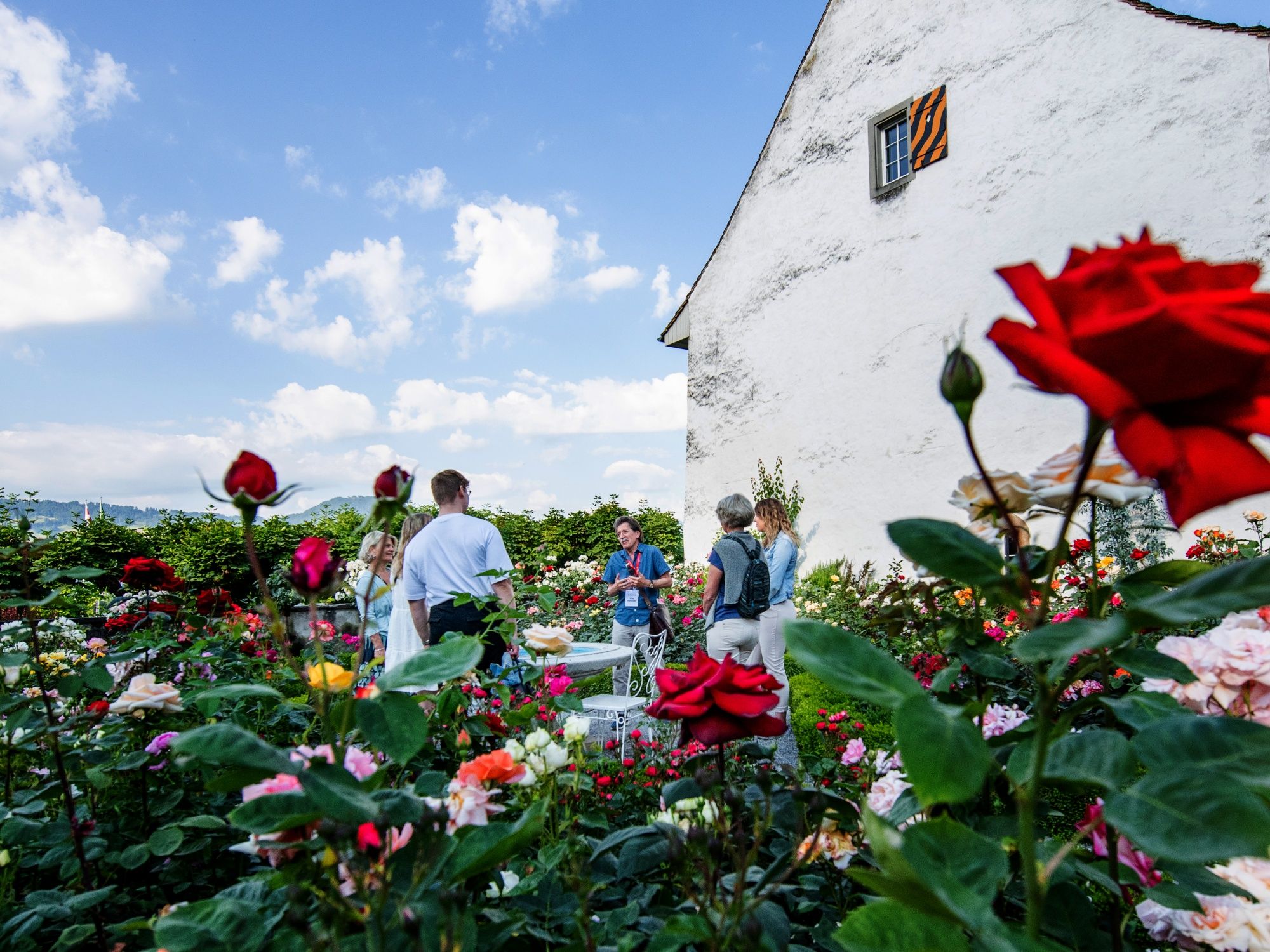 Rosalínek: Skupinová návštěva rozkvetlé zahrady s různými odrůdami růží pod modrou oblohou.