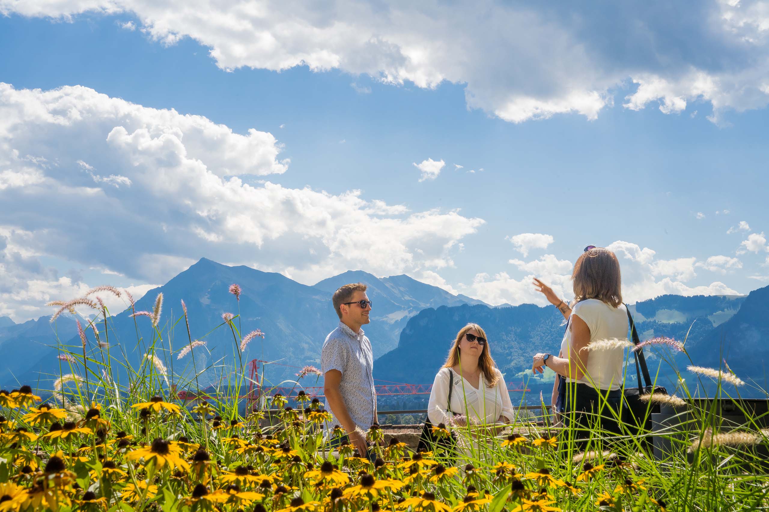 Aktivitas kelompok di alam dengan pegunungan dan bunga bermekaran di musim panas
