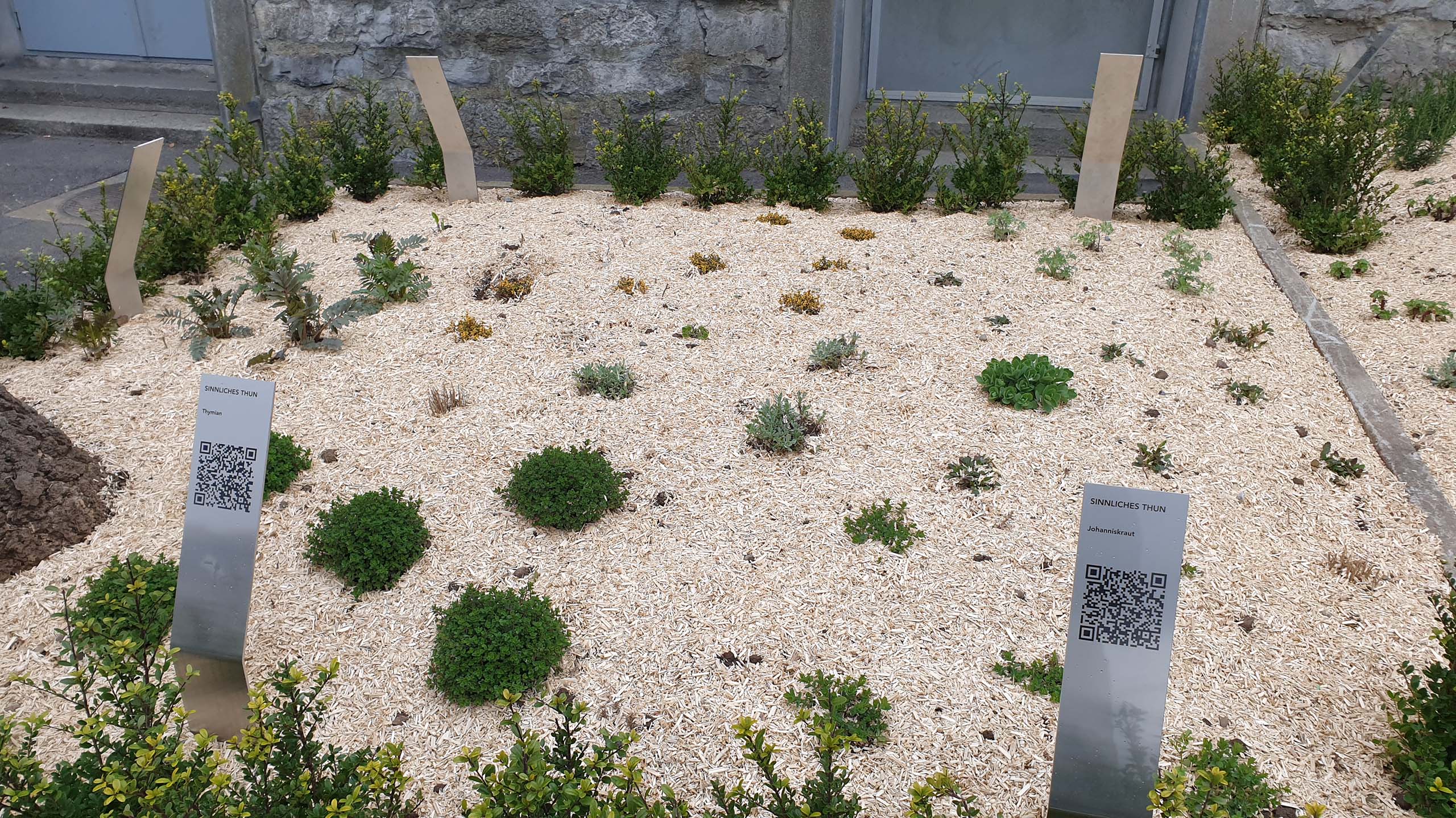 Thun: taman yang indah dengan rempah-rempah dan tanaman untuk pecinta alam dan penggemar taman.