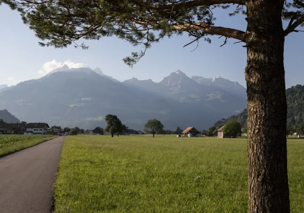Bilten: smuk landskab med bjergene, en eng og et træ i Schweiz.