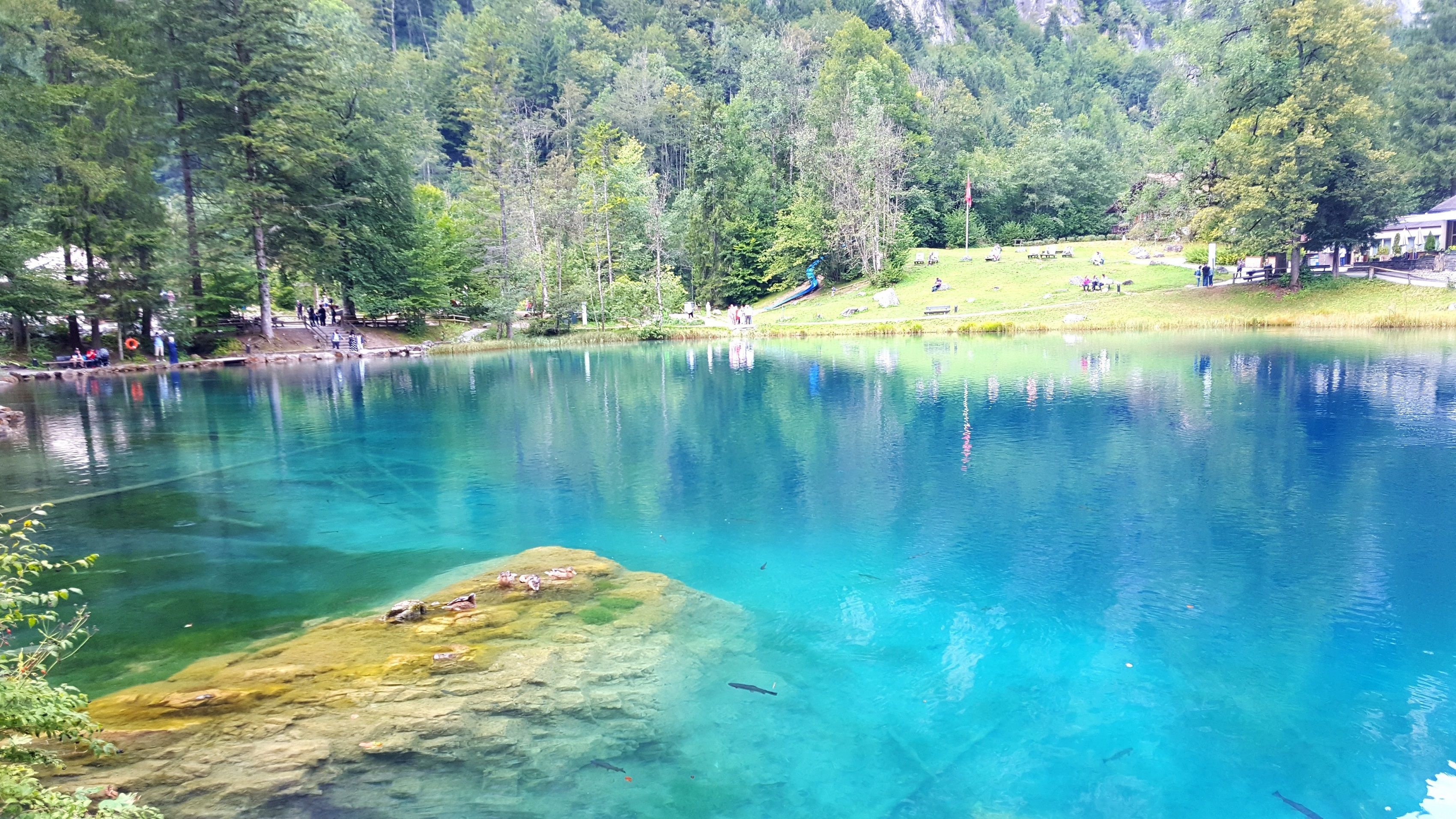 Blahoslavec s průzračnou vodou a zelenými břehy, obklopený stromy.