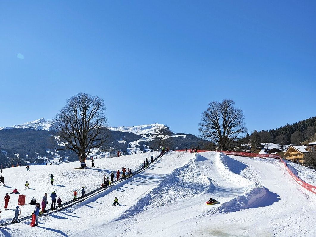 Esquiar em Grindelwald sob o sol, pistas cobertas de neve, esquiadores felizes
