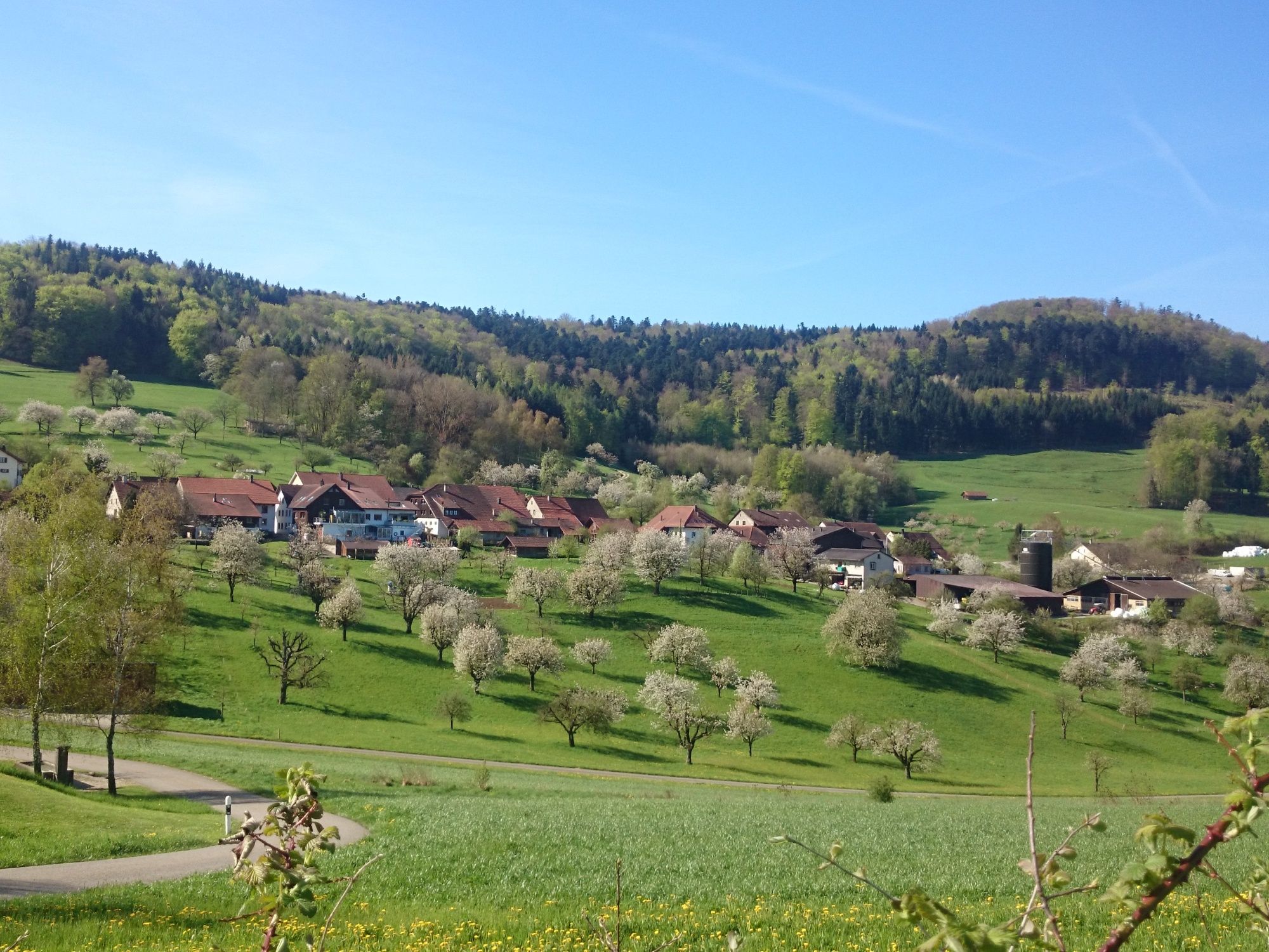 Bözberg: Landskap yang menenangkan dengan pokok yang berbunga, bukit hijau dan pandangan desa yang menawan di Aargau