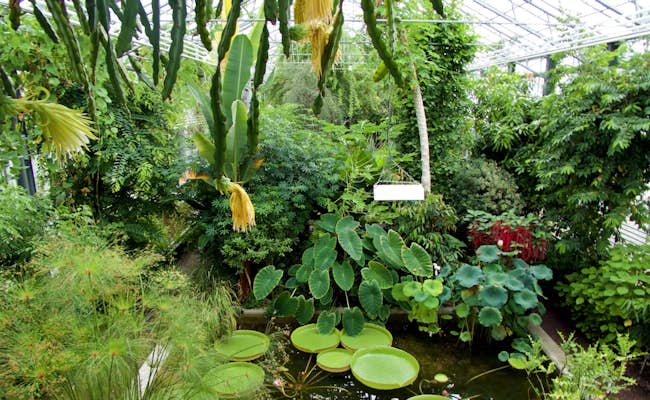 Botanical Garden: Over 8,000 plants from all over the world