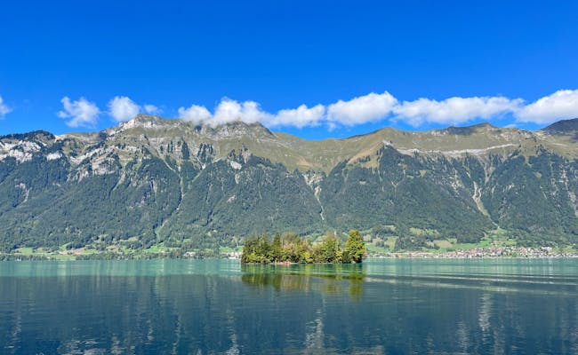 ブリエンツ湖:山々に囲まれた美しい湖で、自然愛好家や夏のリラックスに最適です。