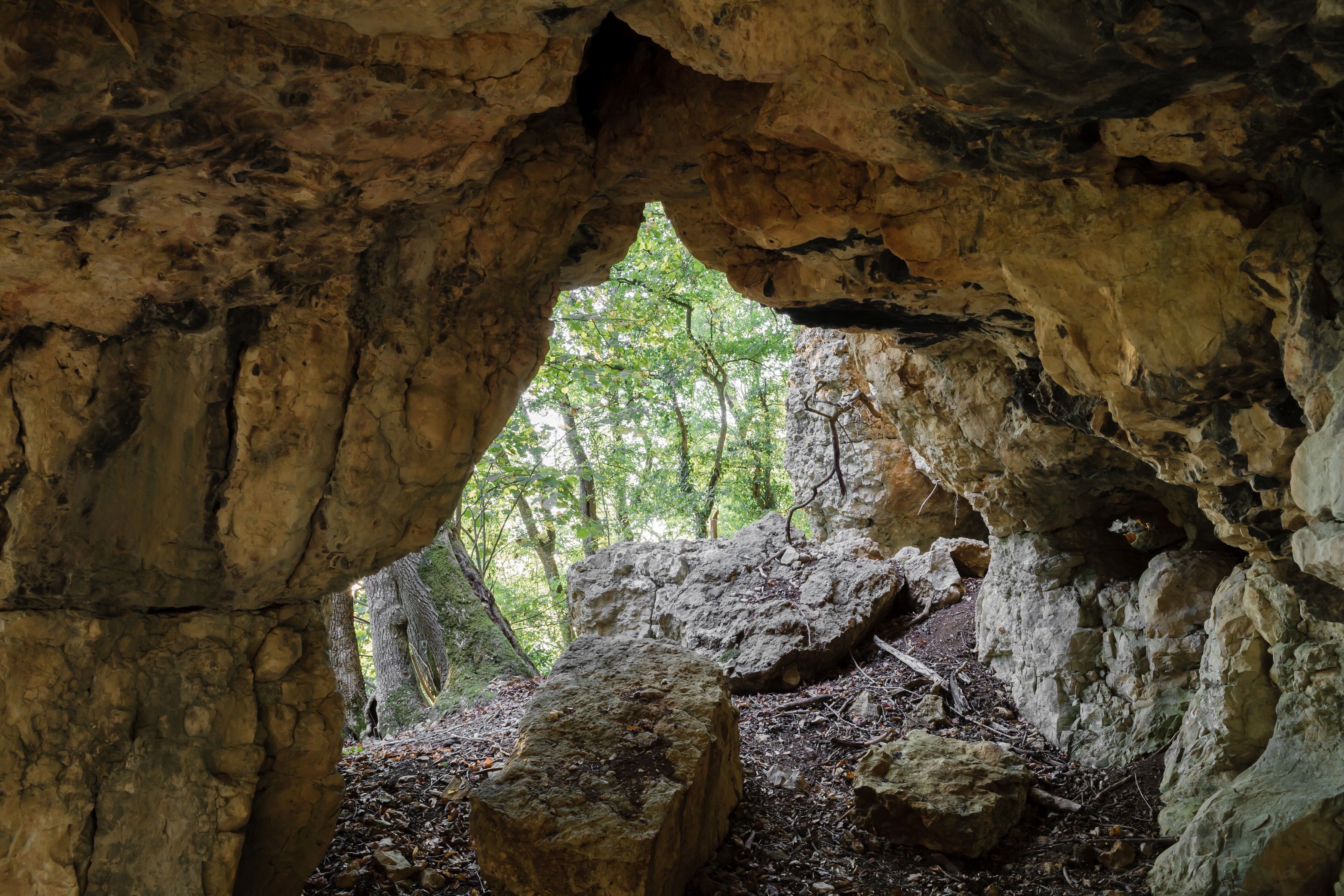 Βραδινή πεζοπορία Εφίνγκεν Αδελφική σπηλιά: Ανακάλυψε τη φύση ανάμεσα στους βράχους και τα δέντρα κατά το ηλιοβασίλεμα.
