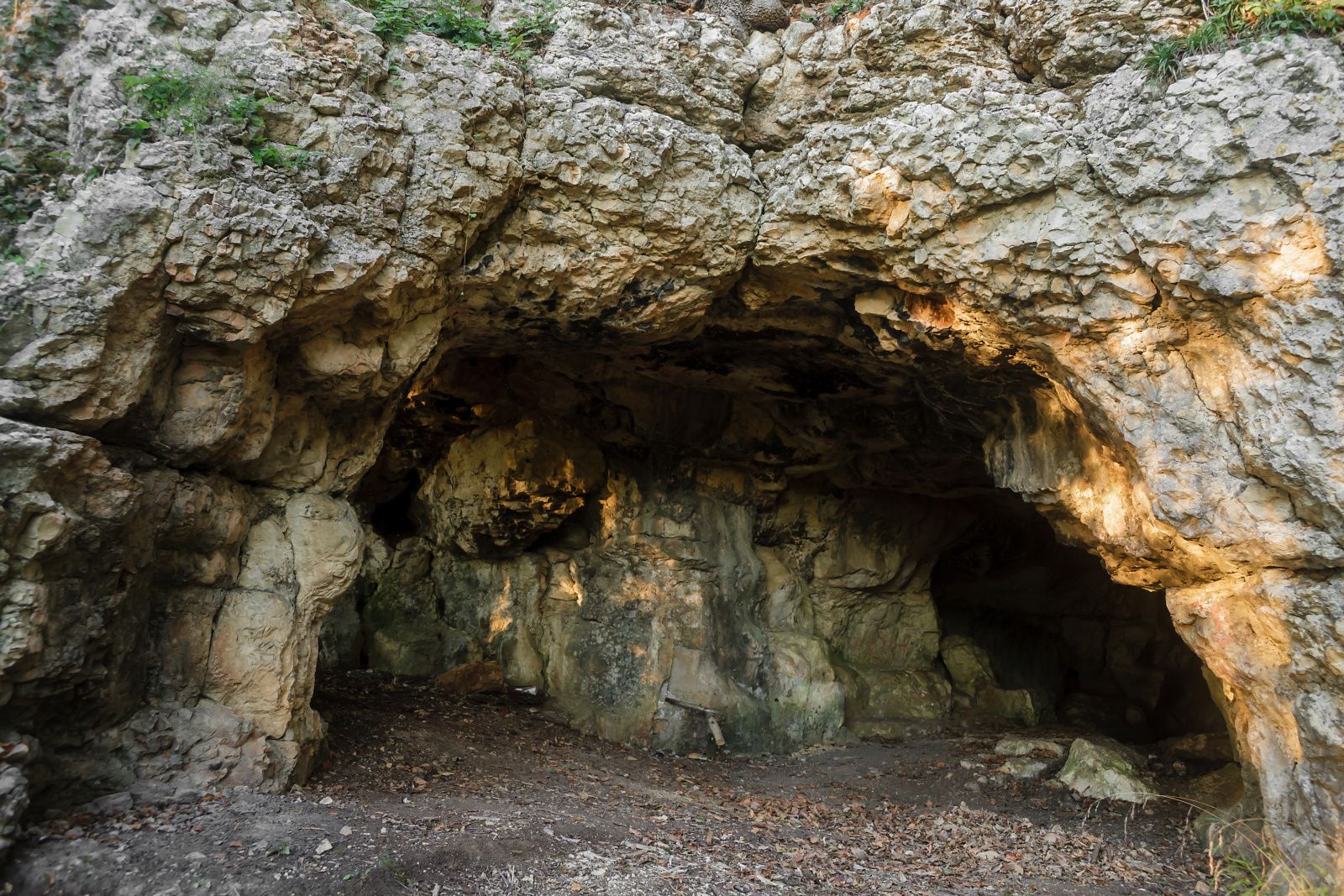 Βραδινή πεζοπορία: Ανακαλύψτε το σπήλαιο Bruder στη Effingen, μέσα σε εντυπωσιακή φύση και μοναδικές εμπειρίες.