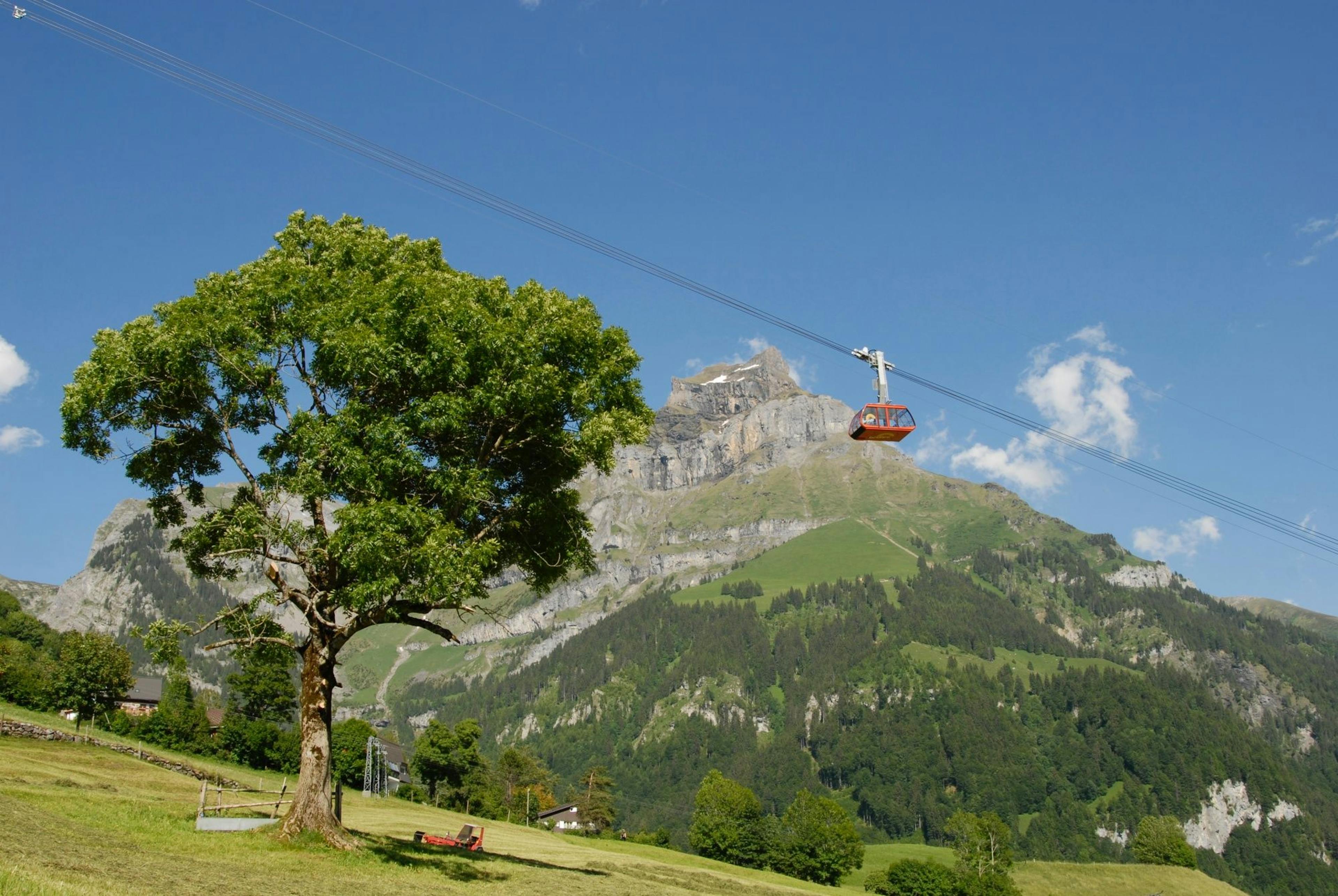 Brunni Gondel: Malerische Seilbahn über grüne Wiesen in Obwalden, ideal für Sommerausflüge.